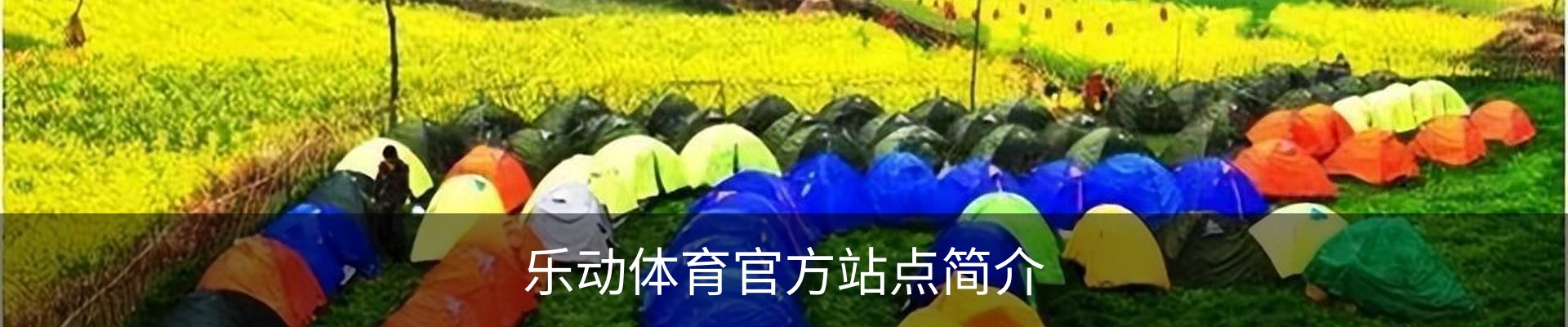 乐动体育官方站点简介